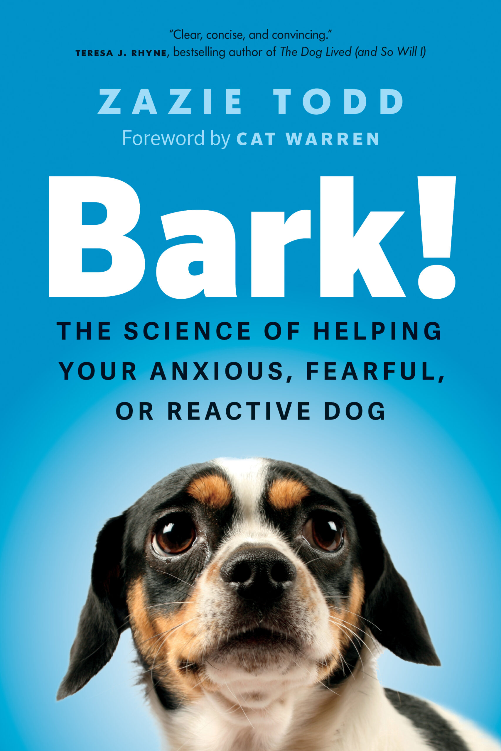 Top Tips For Dealing With A Fearful Dog
