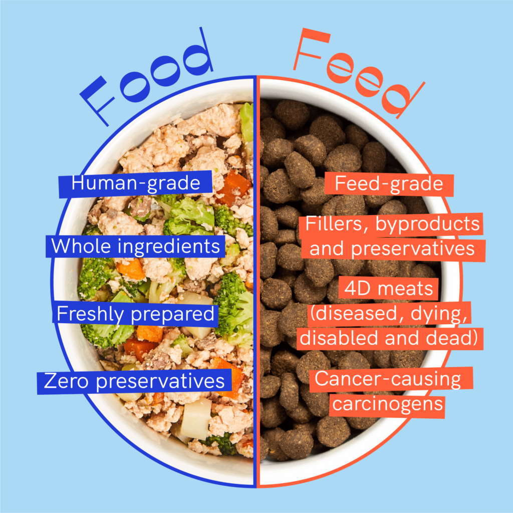 Understanding The Different Types Of Dog Food And Their Benefits