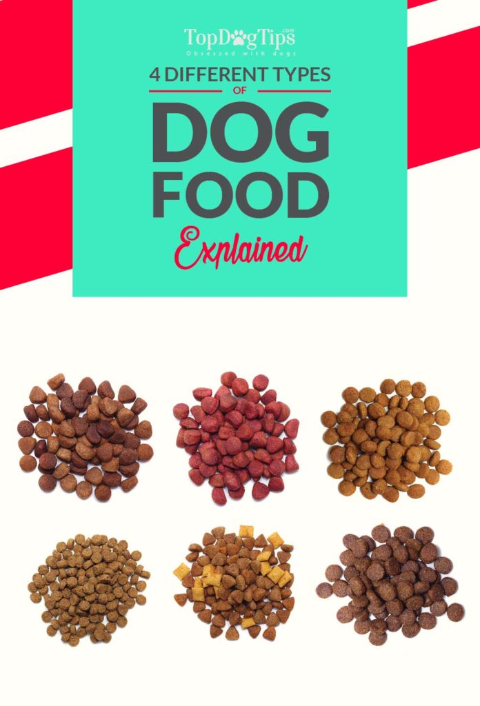 Understanding The Different Types Of Dog Food And Their Benefits