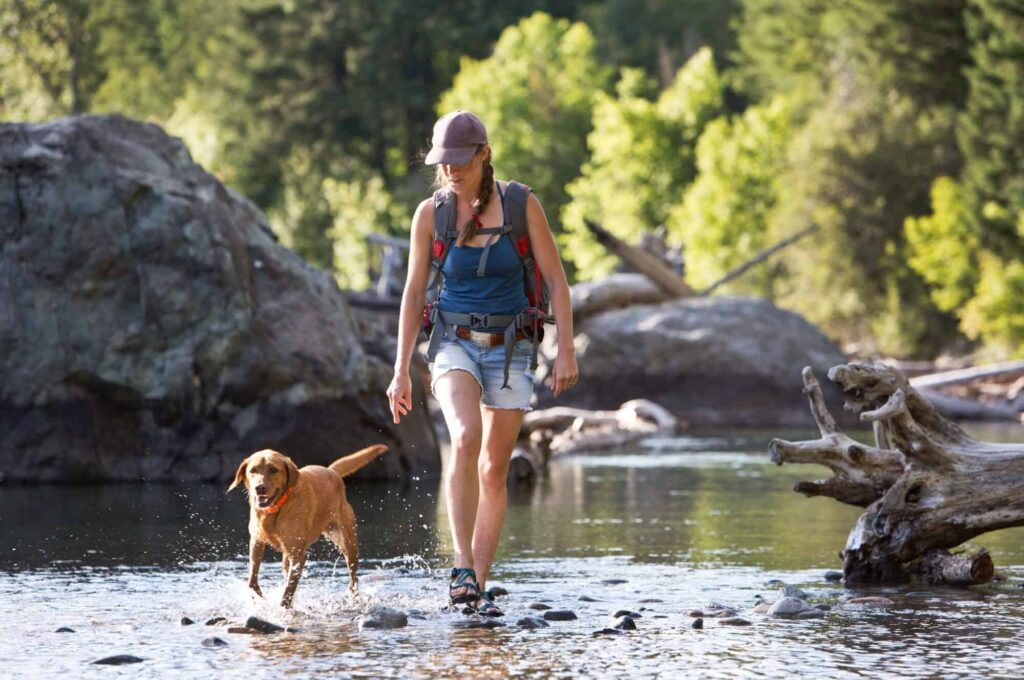 Why Regular Exercise Is Essential For Your Dogs Health