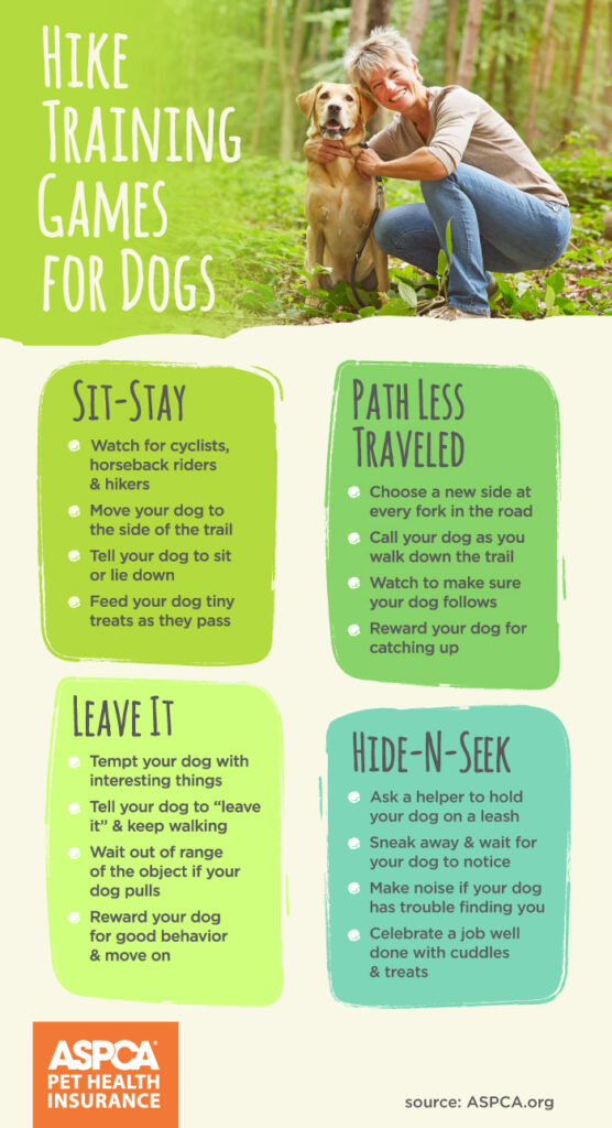 Why Regular Exercise Is Essential For Your Dogs Health