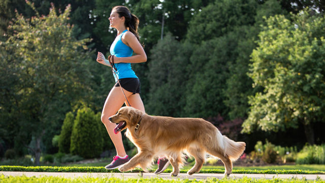 Why Regular Exercise Is Essential For Your Dogs Health
