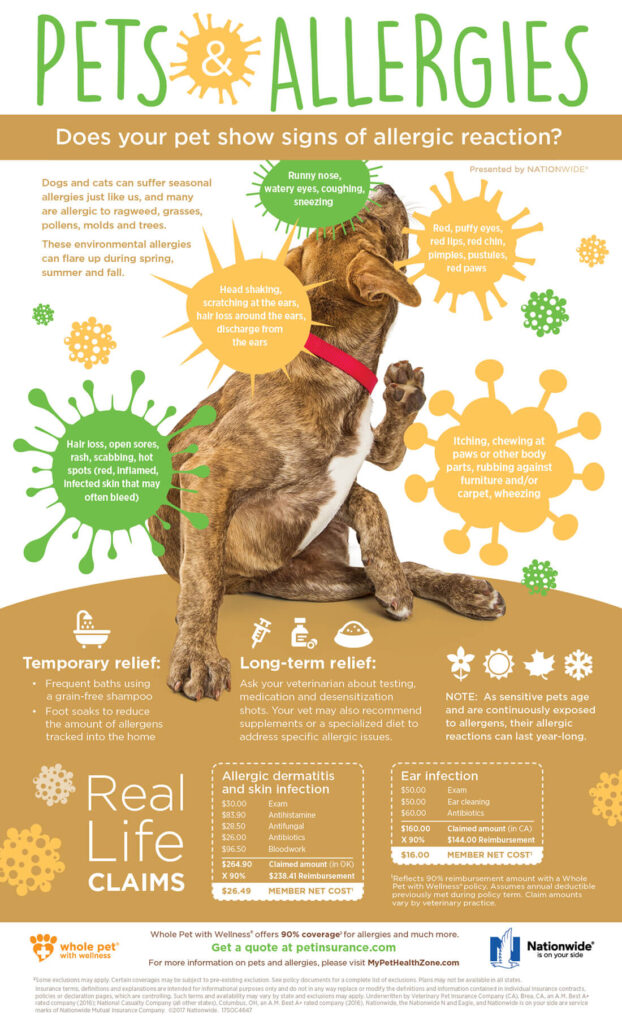 Best Practices For Managing Your Dogs Seasonal Allergies