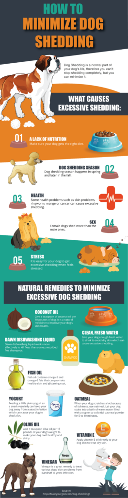 What Are The Best Ways To Manage Shedding In Dogs
