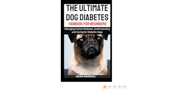 Beginners Guide To Recognizing And Managing Canine Diabetes