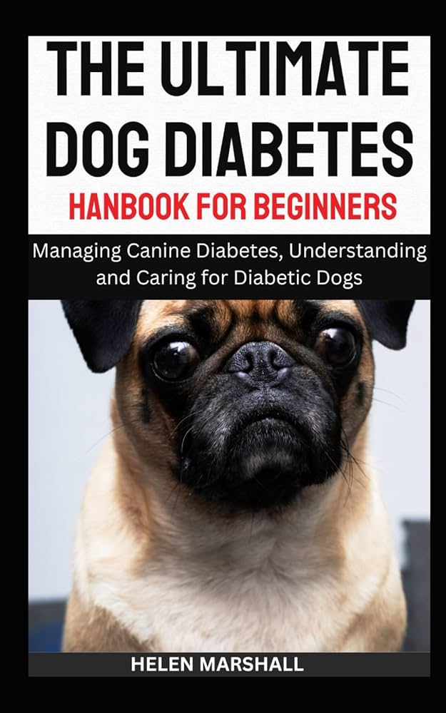 Beginners Guide To Recognizing And Managing Canine Diabetes