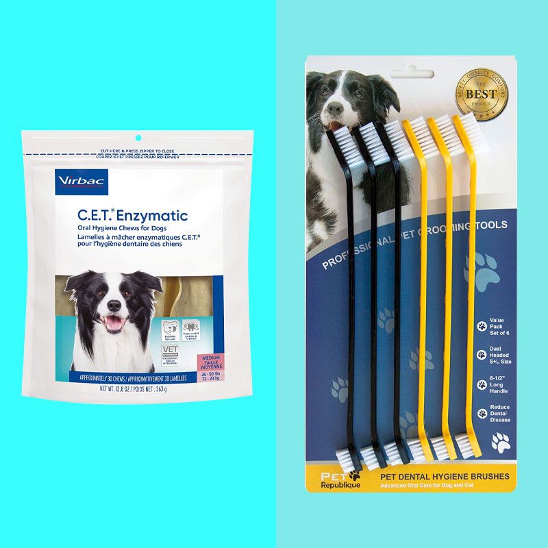 Most Popular Dog Dental Care Products