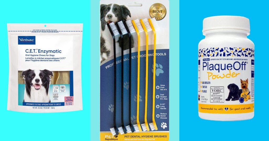 Most Popular Dog Dental Care Products