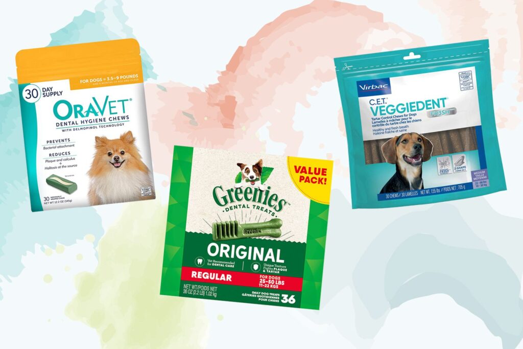 Most Popular Dog Dental Care Products
