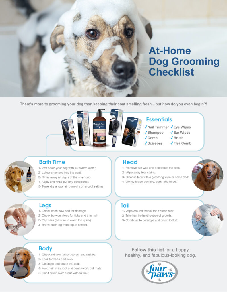 Common Dog Grooming Tips For Short-haired Breeds