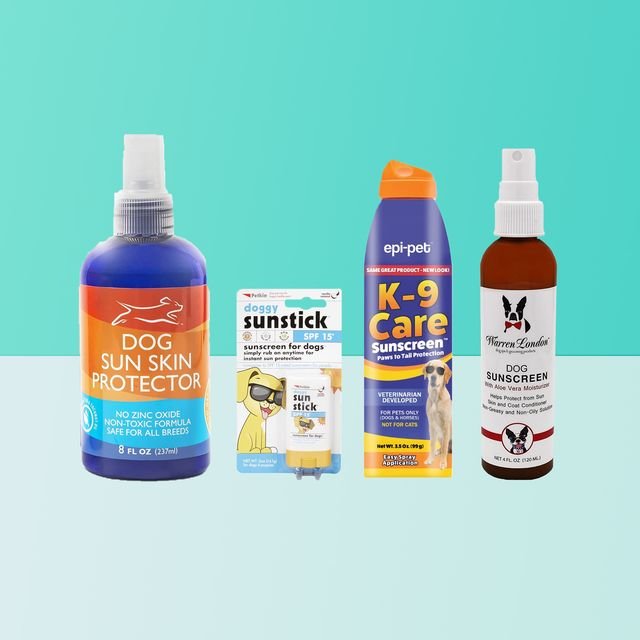How To Choose The Right Dog Sunscreen