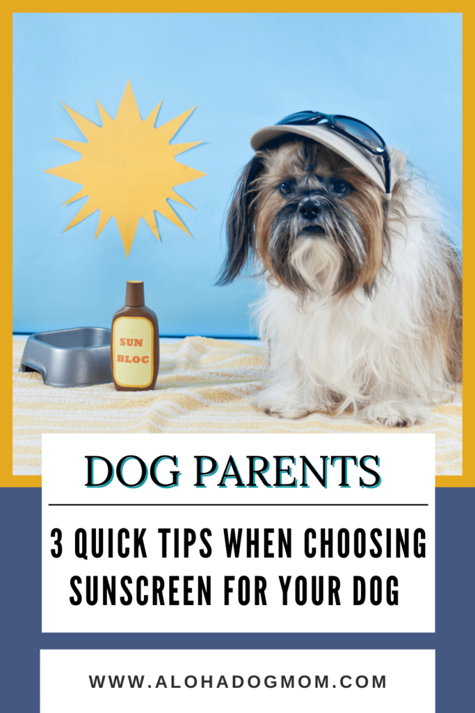 How To Choose The Right Dog Sunscreen