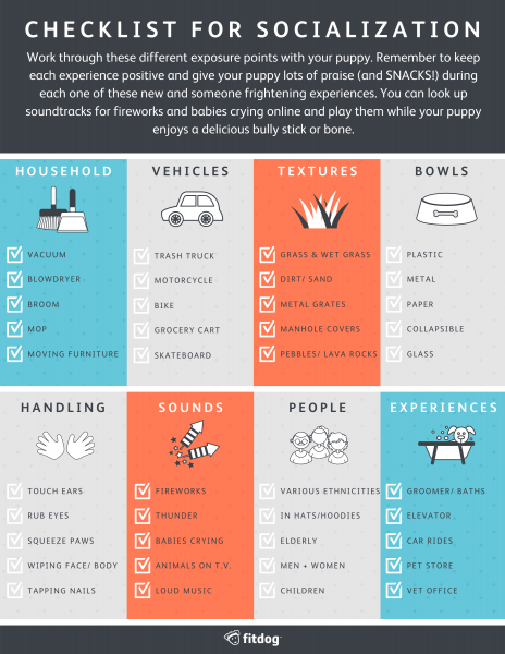 How To Create A Dog-friendly Socialization Plan