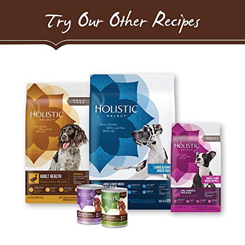 Grain-Free Dog Food: Salmon, Anchovy & Sardine Recipe for All Life Stages - Image 9