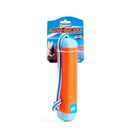 Durable Chuckit Amphibious Dog Fetch Toy - Floats on Water, Medium Size - Image 4