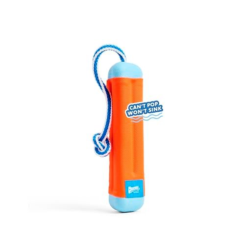 Durable Chuckit Amphibious Dog Fetch Toy - Floats on Water, Medium Size - Image 3