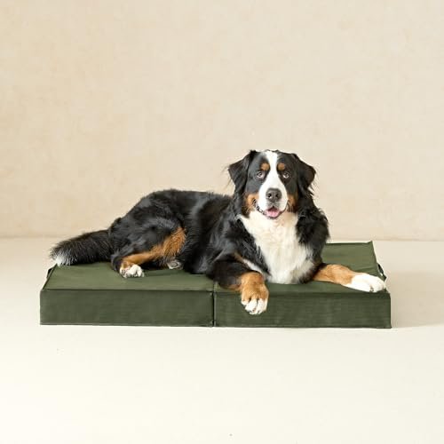 EHEYCIGA XL Waterproof Orthopedic Dog Bed with Washable Cover, Green - Image 9