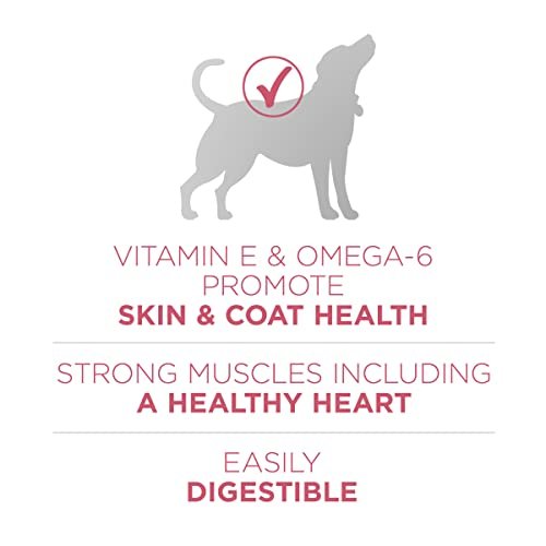 Purina ONE Sensitive Stomach Dog Food, Skin & Coat Support, 31.1 lb Bag - Image 4