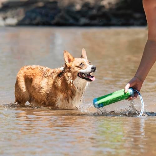 Durable Chuckit Amphibious Dog Fetch Toy - Floats on Water, Medium Size - Image 7