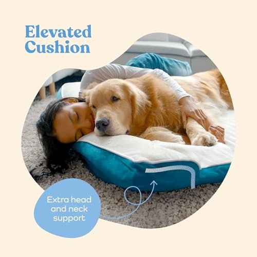 Orthopedic Dog Sofa Bed - Waterproof, Breathable, Washable, Ultra Comfy - Image 4