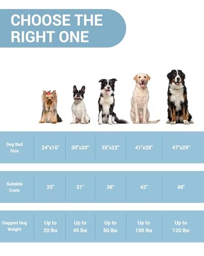 OhGeni Orthopedic Waterproof Dog Bed - Egg Crate Foam, Washable Cover, Gray - Image 6