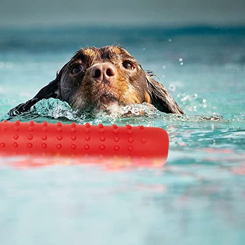 Segzwlor Floating Dog Toy - Interactive Fetch & Training for All Dog Sizes - Image 3