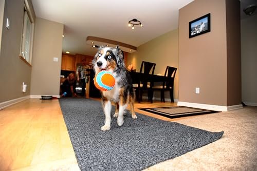 Chuckit Indoor Dog Ball - Soft, Durable Plush Toy for Small Breeds, 4.75", Orange - Image 3