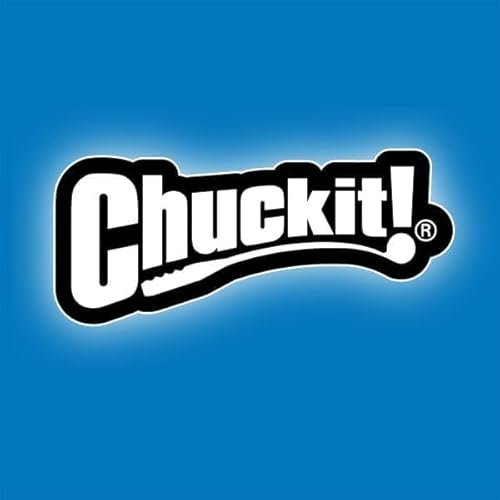 Chuckit! Fetch Medley Dog Balls - Durable, Bouncy, Floating Toys (3-Pack) - Image 5