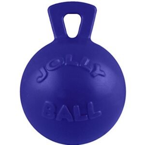 Jolly Pets Tug-n-Toss Dog Toy Ball with Handle, 8 Inches/Large, Blue