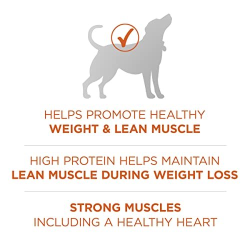 Purina ONE Healthy Weight High-Protein Dry Dog Food, 31.1 lb Bag - Image 4