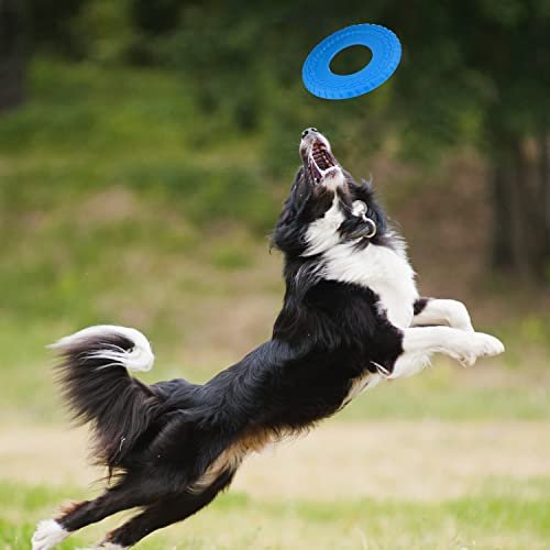 Durable Nerf Dog Rubber Tire Flyer - Floating 10" Disc for Active Play - Image 4