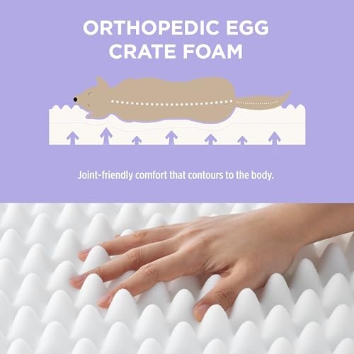 Orthopedic Waterproof Dog Bed, Egg Crate Foam, Removable Cover, 36"x27" Cream - Image 4