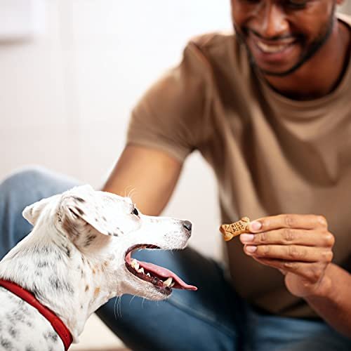 Milk-Bone Mini Dog Treats, Crunchy Flavor Snacks in 36oz Resealable Jar - Image 6