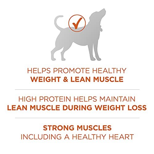 Purina ONE Healthy Weight High-Protein Dog Food, Dry Formula, 40 lb Bag - Image 5