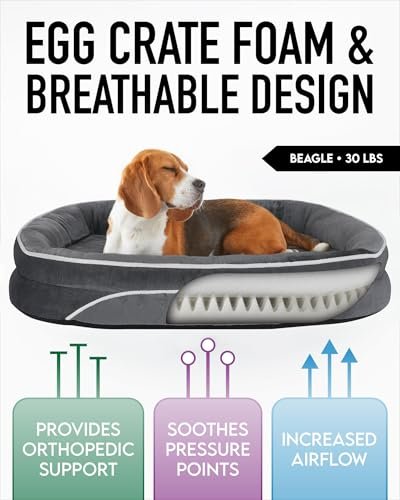 OhGeni Gray Orthopedic Dog Bed Large Dogs, Egg Foam, Washable Bolster - Image 2