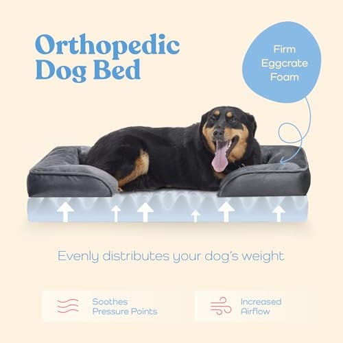 Orthopedic Dog Sofa Bed - Waterproof, Breathable, Washable, Ultra Comfy - Image 3