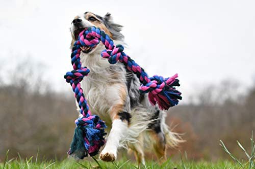 Mammoth Flossy Chews Rope Toy – Durable Tug for Dogs, Cotton-Poly, Fun Colors - Image 3
