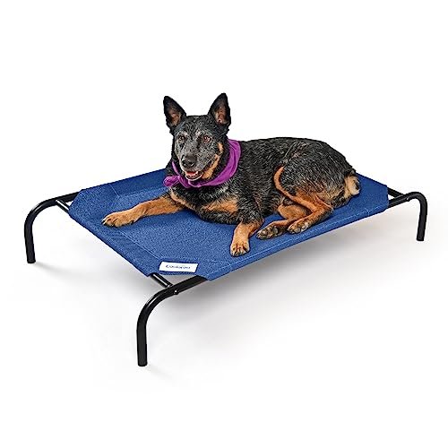 COOLAROO The Original Cooling Elevated Dog Bed, Indoor and Outdoor, Medium, 42"L x 25.5"W x 8"Th, Aquatic Blue