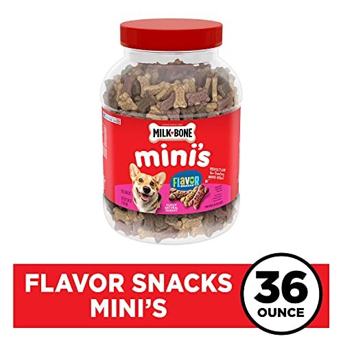 Milk-Bone Mini Dog Treats, Crunchy Flavor Snacks in 36oz Resealable Jar - Image 2
