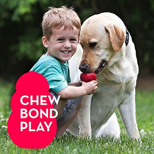 KONG Classic Dog Toy for Medium Dogs - Durable, Stuffable, Bouncy & Fun - Image 8