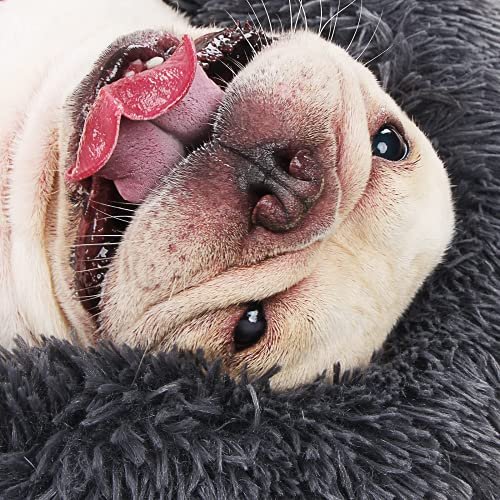 Cozy Anti-Anxiety Small Dog Bed - Fluffy, Washable, Waterproof, Non-Slip - Image 6