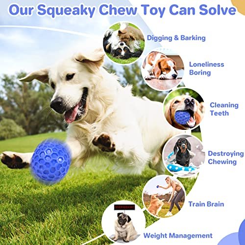 Indestructible Squeaky Dog Toy Ball – Tough, Teeth Cleaning, Large Breeds - Image 5