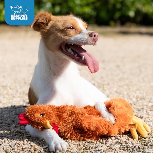 Interactive Crinkle Chicken Toy for Dogs - Plush, Colorful, Cute & Durable - Image 5