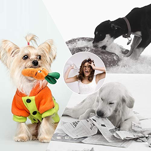 Nocciola Plush Squeaky Dog Toys, 12pcs Set with Bag for Small & Medium Dogs - Image 5