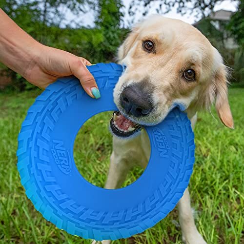 Durable Nerf Dog Rubber Tire Flyer - Floating 10" Disc for Active Play - Image 2