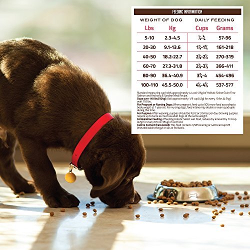 Grain-Free Dog Food: Salmon, Anchovy & Sardine Recipe for All Life Stages - Image 7