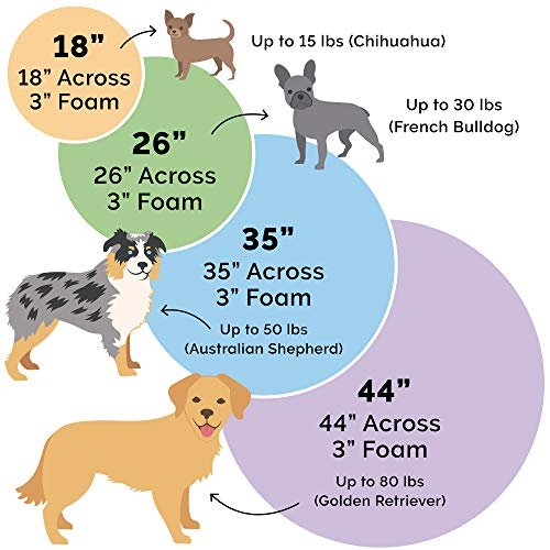 Cozy 26" Orthopedic Dog Bed for Small/Medium Dogs, Washable Cover, Gray - Image 6