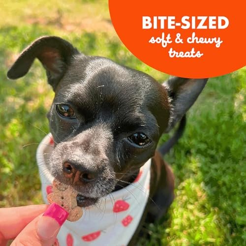 Buddy Biscuit Softies Grain-Free Peanut Butter Dog Treats, USA Baked, 5 oz - Image 7