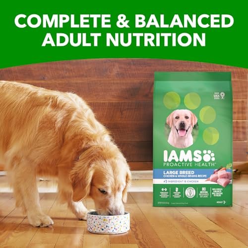 IAMS Large Breed Adult Dog Food, High Protein with Real Chicken, 30 lb Bag - Image 10