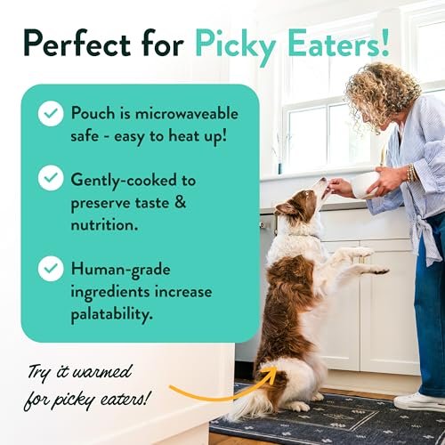 Human-Grade Wet Dog Food Pouches - Gluten-Free, USA-Made Variety Pack - Image 6